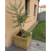 Jardinière en bois sur mesure en lame de pin 70 x 45 mm, idéale pour votre jardin.