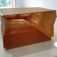 Sachet biodégradable Animo Concept 11x16 cm pour ramassage facile