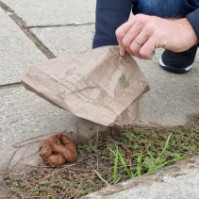 Sachet biodégradable en papier Animo Concept 20x20 cm hygiène canine