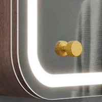 Poignée de porte or